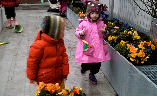 picking pansies