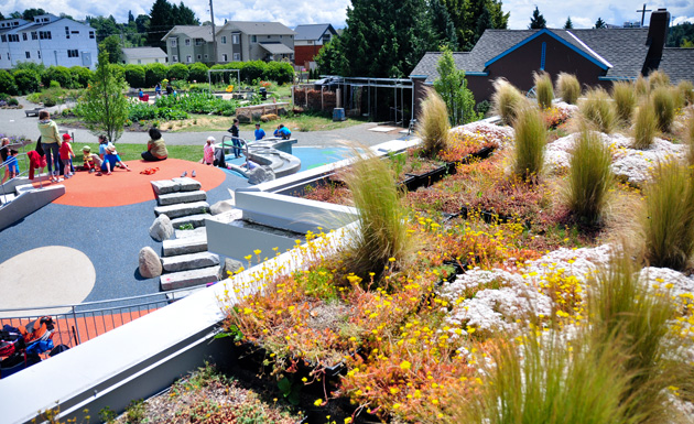 a rooftop view of the volcano play area