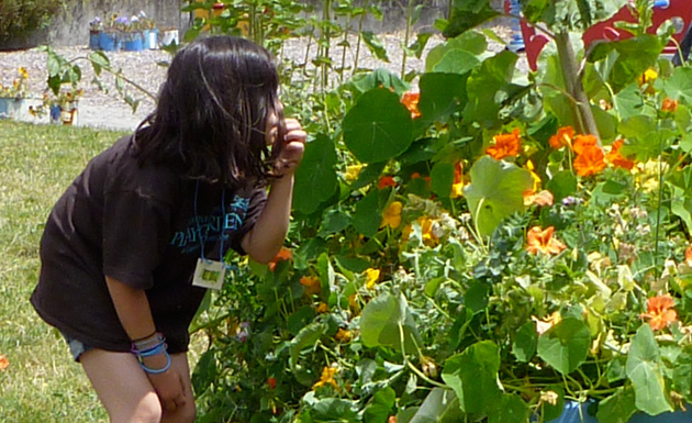 hiding in the garden