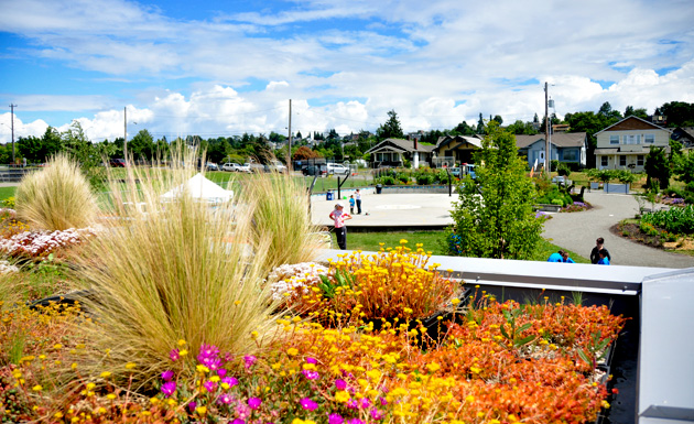 rooftop garden